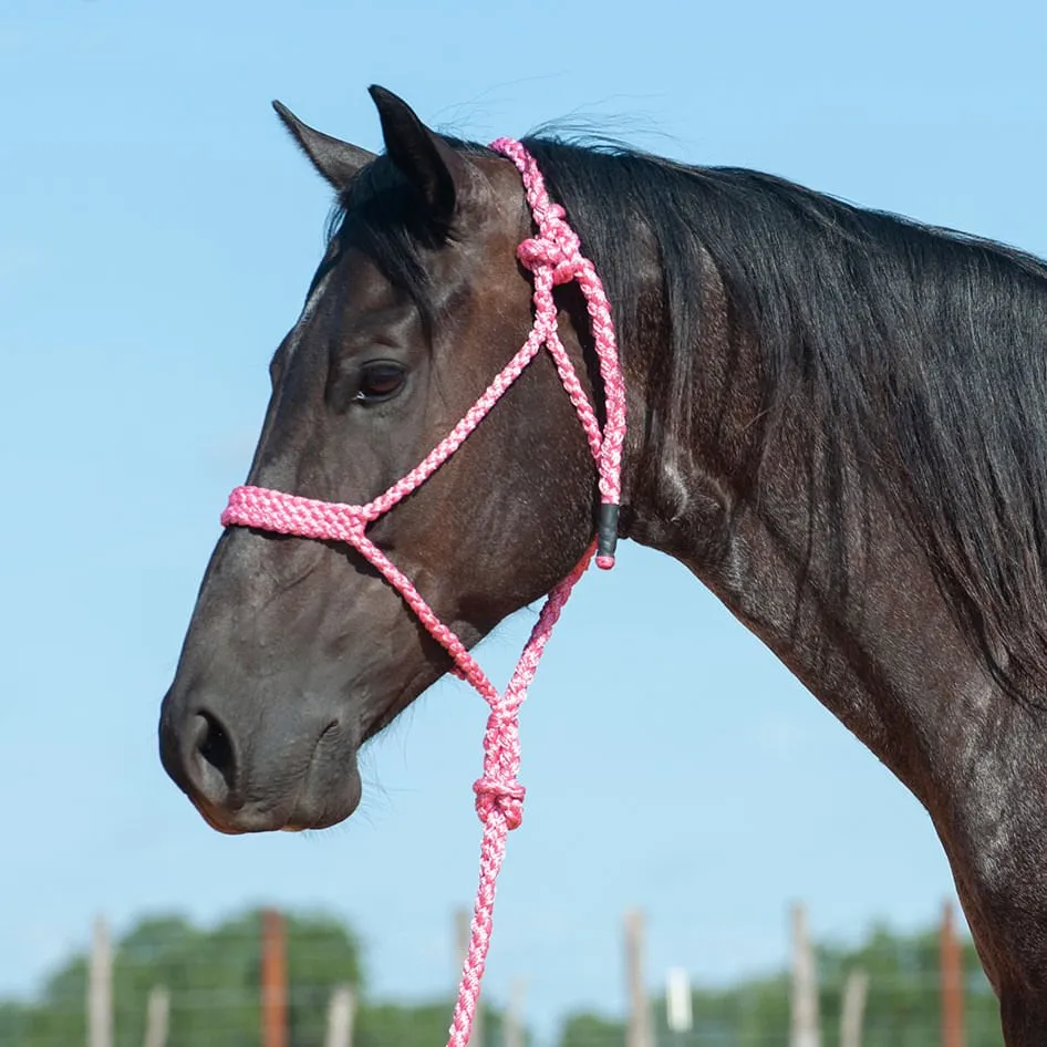 Braided Mule Tape Halter w/ 9' Lead