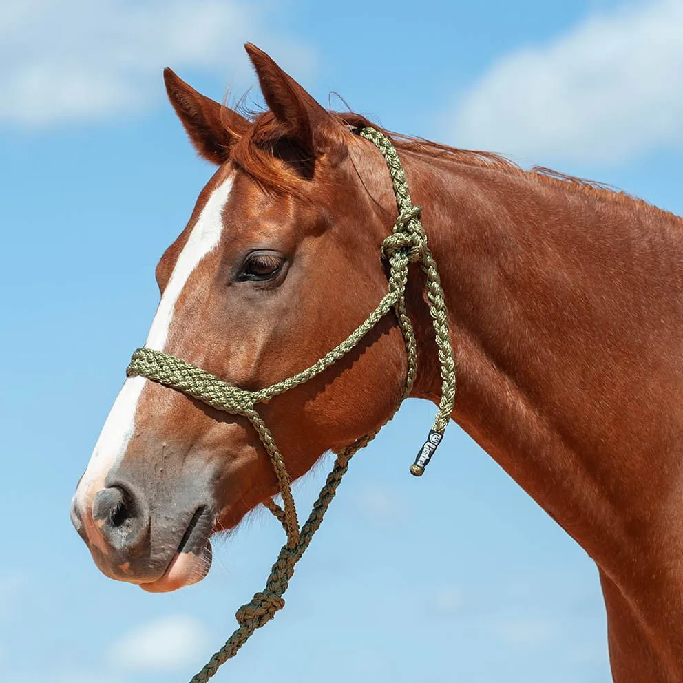 Braided Mule Tape Halter w/ 9' Lead