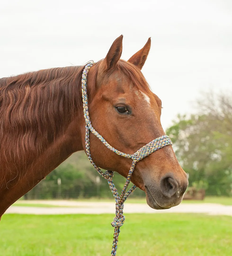 Braided Mule Tape Halter w/ 9' Lead