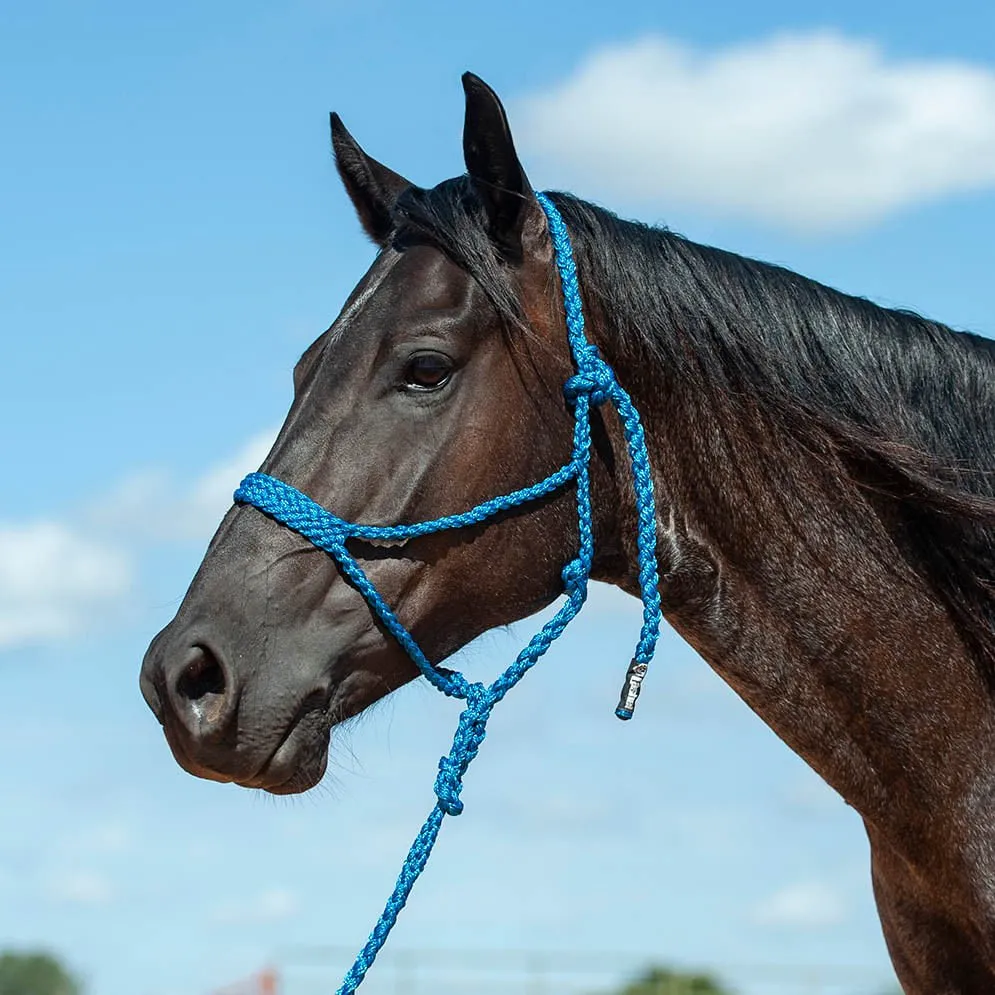 Braided Mule Tape Halter w/ 9' Lead