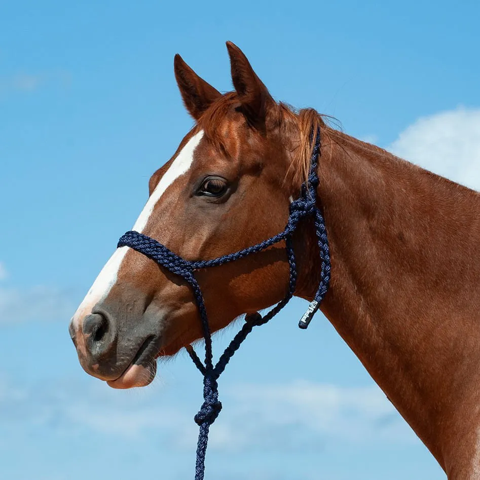 Braided Mule Tape Halter w/ 9' Lead