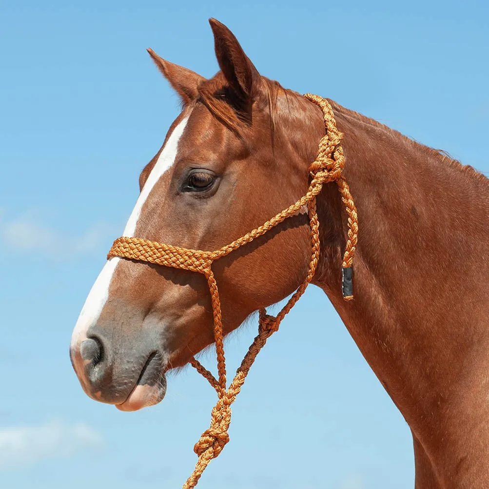 Braided Mule Tape Halter w/ 9' Lead