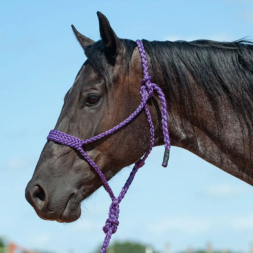 Braided Mule Tape Halter w/ 9' Lead