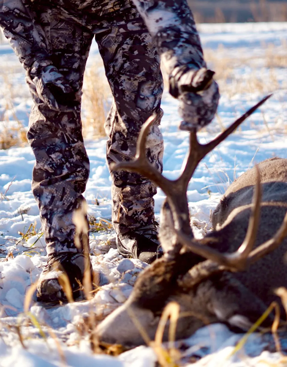 Mule Deer Bundle