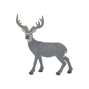 Mule Deer