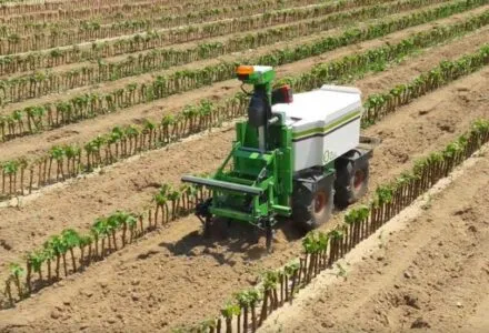 Naio Technologies Oz Autonomous Farming Assistant | 100% Electric | RTK GPS Navigation | Up to 1000m²/hour