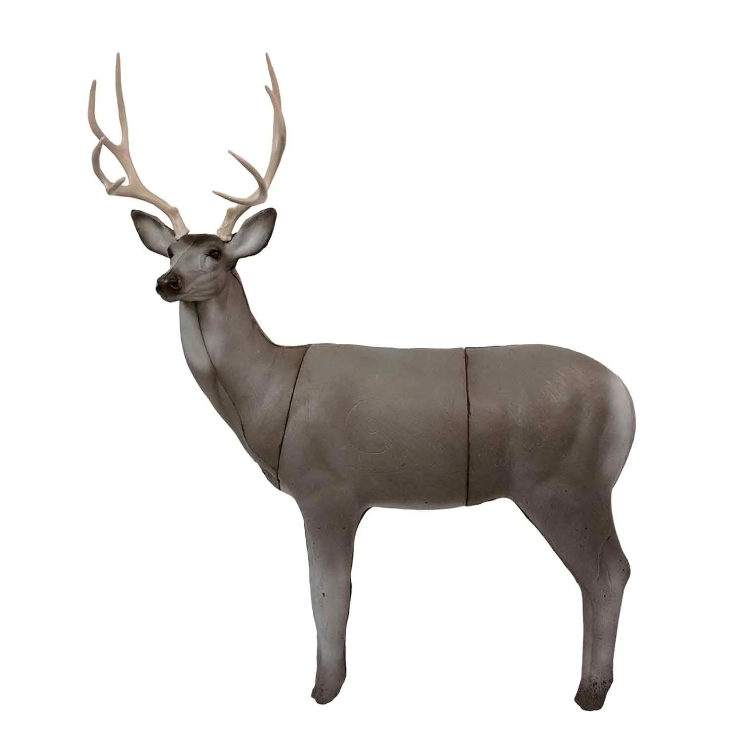 RealWild X-Ray Series Mule Deer 3D Target