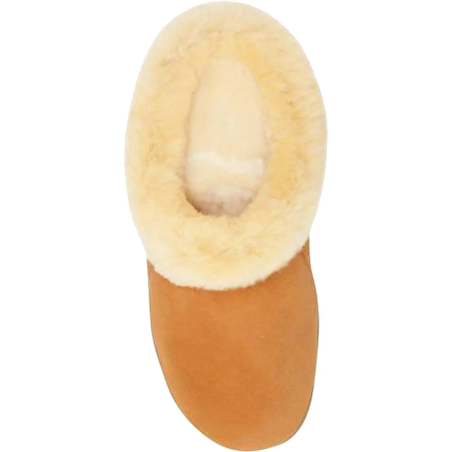 Women's Acorn Ewe Collar Walnut Sheepskin